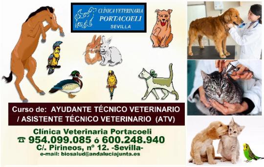 curso de Ayudante Técnico Veterinario
